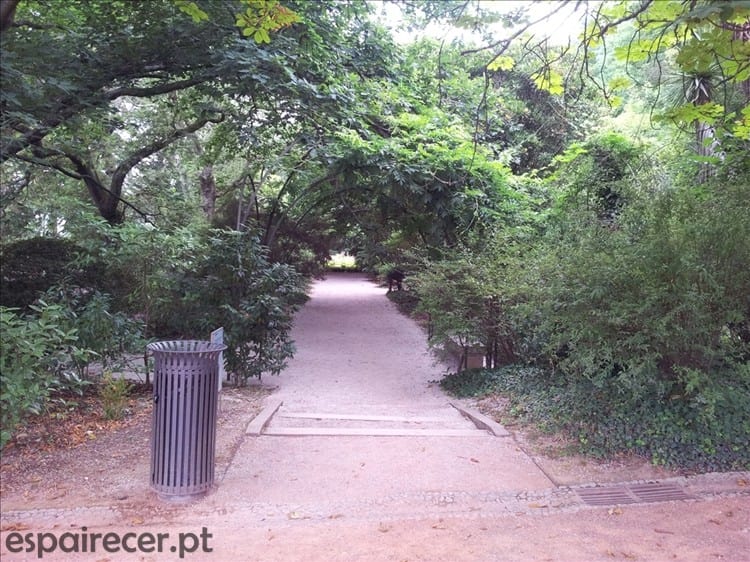 Parque de Serralves - Porto